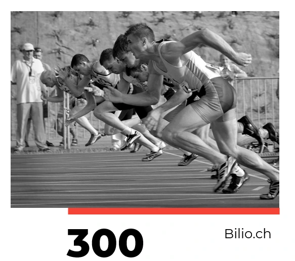 01-FIBU Bilio 300